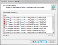 cm_docpro_wizard_review_zoom40