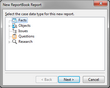 New ReportBook Wizard > New ReportBook Report > Data Type New ReportBook Wizard > New ReportBook Report > Data Type