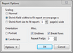 New ReportBook Wizard > Report Options New ReportBook Wizard > Report Options