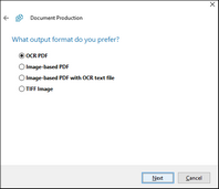 Document Production Wizard Output Format sccreen Document Production Wizard Output Format sccreen