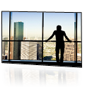 Redwood Analytics Business Intelligence and Planning
