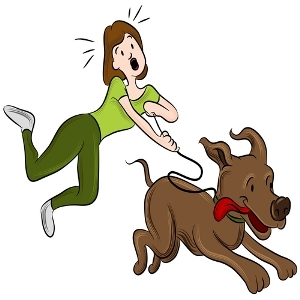 how far to walk a puppy ruff decision for walker florida appeals court tosses far fetched argument for how far to walk a puppy ruff decision for walker florida appeals court tosses far fetched argument for