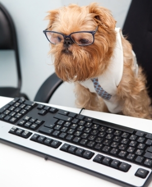 dog-at-computer-with-glasses.jpg