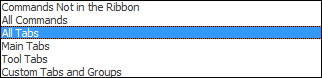 Customized Ribbon Menu Options Customized Ribbon Menu Options