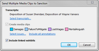 Send Multiple Clips to Sanction Send Multiple Clips to Sanction