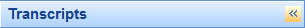 Navigation pane expand button