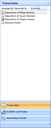 Transcripts pane