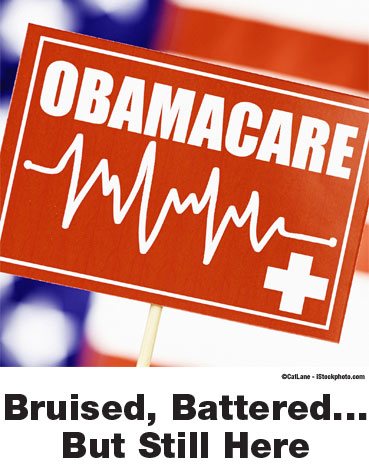 Ancor Coalition Urge Fda To Act On Banning Electronic Shock >> Lexisnexis Communities Ancor Coalition Urge Fda To Act On Banning Electronic Shock >> Lexisnexis Communities