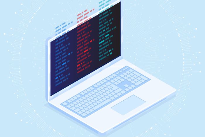 Get to know how the Nexis Developer Portal helps you gain insight from your data