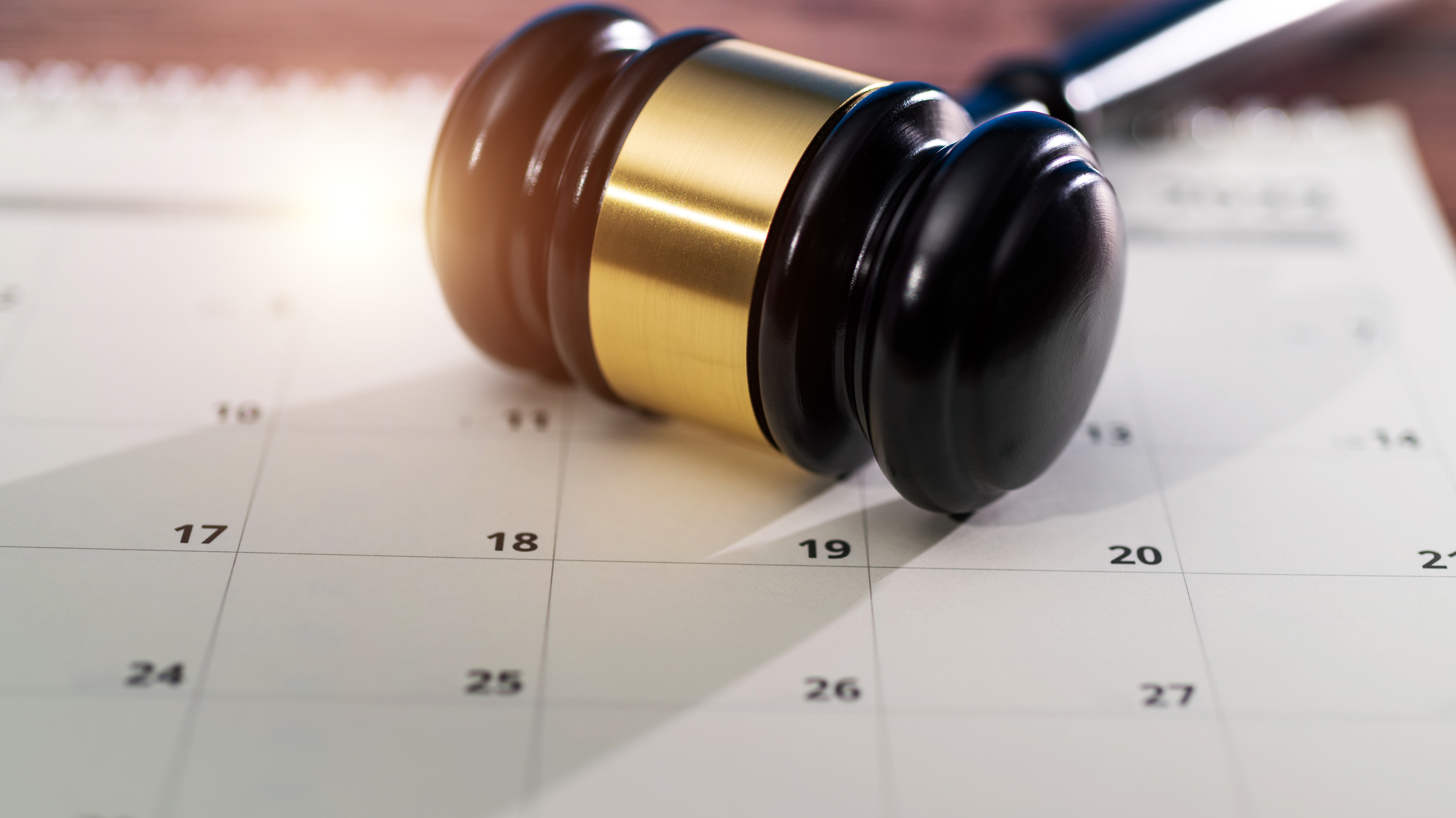 Product Spotlight: CourtLink®