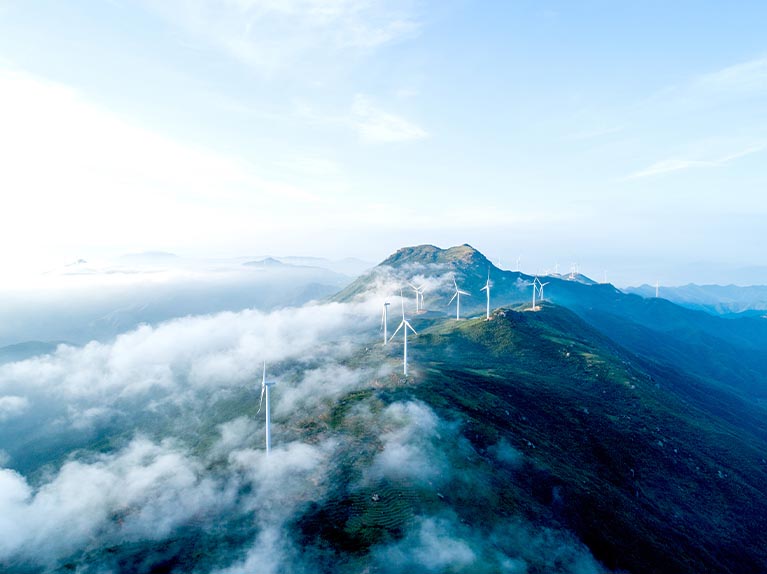 Disclosure Related to Climate Change: Market Trends 2021