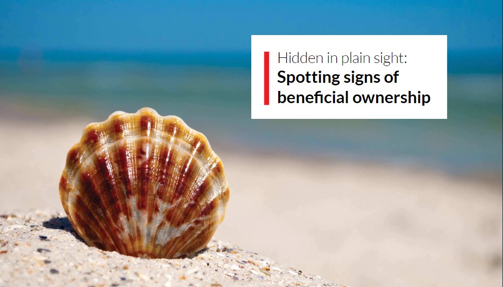 Hidden in Plain Sight: Spotting Signs of Beneficial Ownership