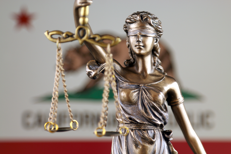 Surfing the Data Wave: Endless Summer Insights into California Litigation Analytics