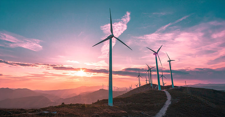 Purpose and Stewardship complimentary paper and checklist: Embedding ESG at all levels of the organisation