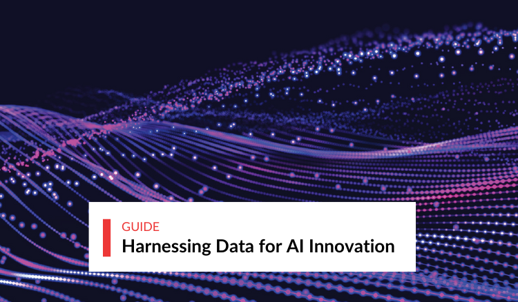 Harnessing Data for AI Innovation