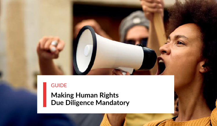Making Human Rights Due Diligence Mandatory
