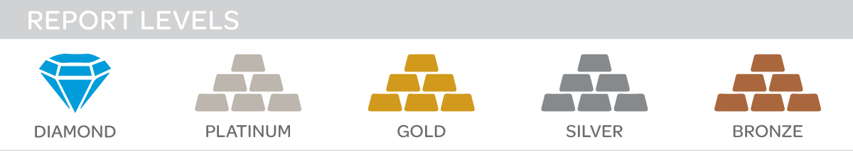 Report Levels Report Levels