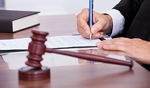 LexisNexis<sup>®</sup> Case Law LexisNexis<sup>®</sup> Case Law