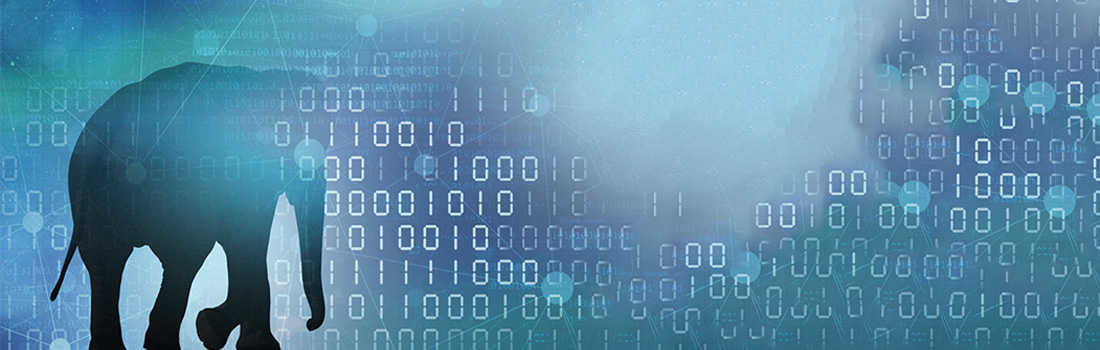 FionaJackson_elephant-blog-post-large