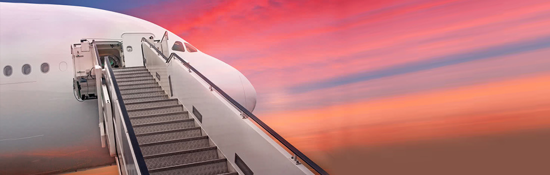 FionaJackson_elephant-blog-post-large