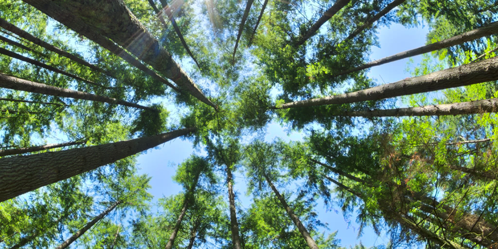 fiona-qa-2019-blog-image