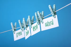 Image result for ‘renewable gas’ greenwash fraud